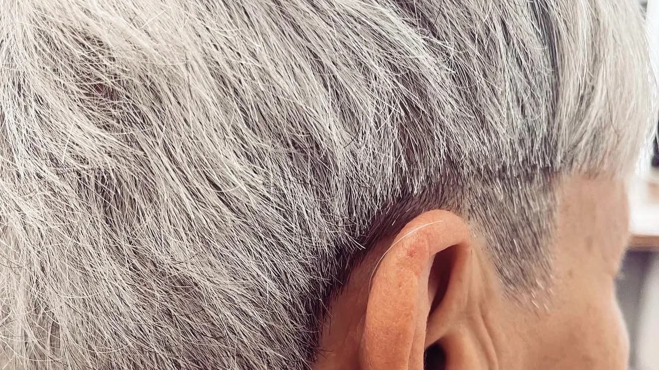 Coupe homme sur cheveux gris au salon